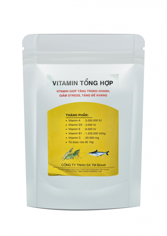 Vitamin tổng hợp
